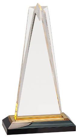 9" Gold Star Impress Acrylic