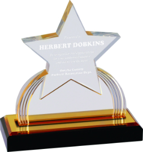 6 1/4" Gold Carved Star Impress Acrylic