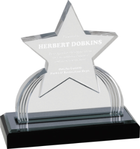 6 1/4" Silver Carved Star Impress Acrylic