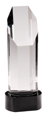 10 3/4" Octagon Slant-Top Crystal on Black Pedestal Base