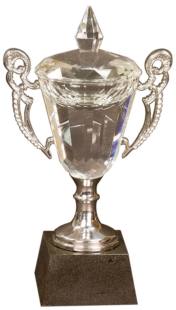 9 1/2" Crystal Cup with Silver Handles and Stem