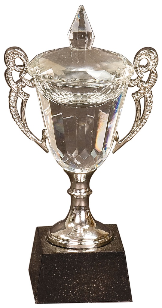 8" Crystal Cup with Silver Handles and Stem