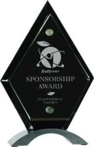 8 1/2" Diamond Black Piano Finish Floating Jade Glass Standup