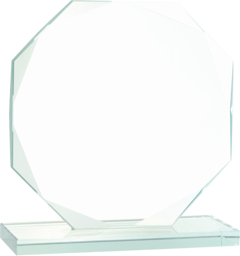 6 1/2" Octagon Jade Glass Award
