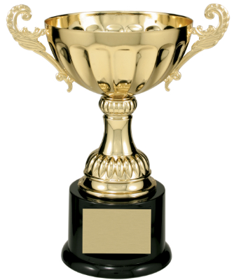 8 1/2" Gold Completed Metal Cup Trophy on Plastic Base