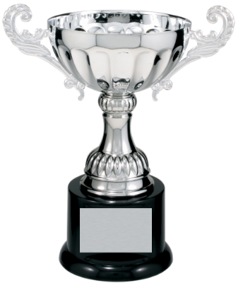 7 1/2" Silver Completed Metal Cup Trophy on Plastic Base