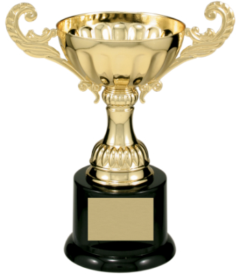6 1/2" Gold Completed Metal Cup Trophy on Plastic Base