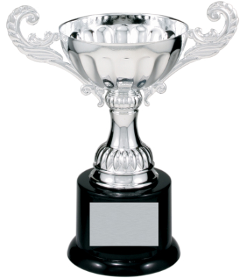 6 1/2" Silver Completed Metal Cup Trophy on Plastic Base