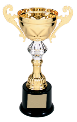 8 3/4" Gold Completed Metal Cup Trophy on Plastic Base