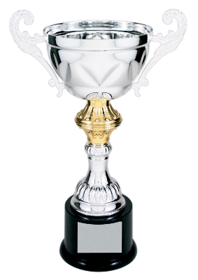 11 1/2" Silver Completed Metal Cup Trophy on Plastic Base
