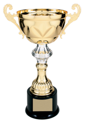 13" Gold Completed Metal Cup Trophy on Plastic Base