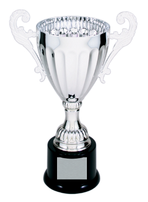 9 3/4" Silver Completed Metal Cup Trophy on Plastic Base