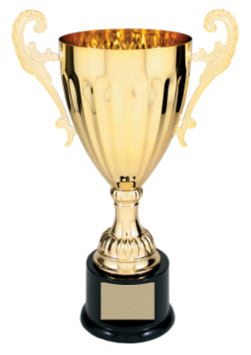 12" Gold Completed Metal Cup Trophy on Plastic Base