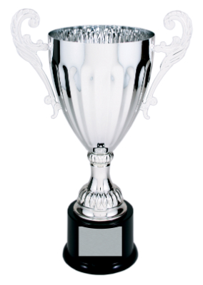 12" Silver Completed Metal Cup Trophy on Plastic Base
