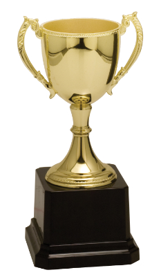 6 3/4" Gold Completed Zinc Cup Trophy