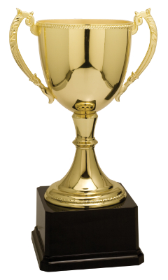 11" Gold Completed Zinc Cup Trophy