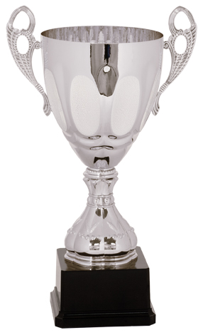 14" Silver Completed Metal Cup Trophy on Plastic Base