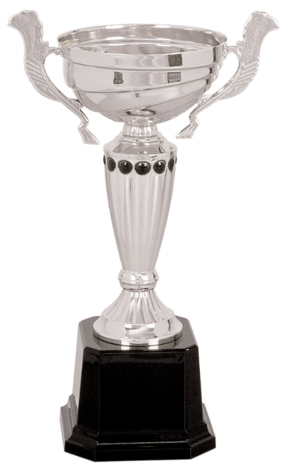 10" Silver Completed Metal Cup Trophy on Plastic Base