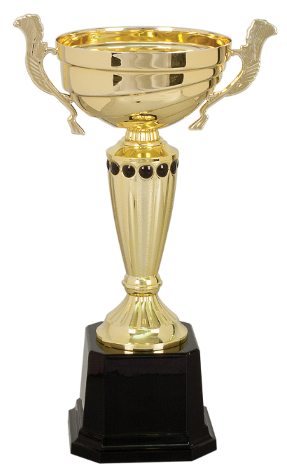 11 1/2" Gold Completed Metal Cup Trophy on Plastic Base
