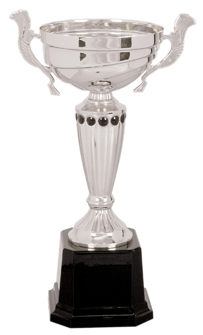 11 1/2" Silver Completed Metal Cup Trophy on Plastic Base