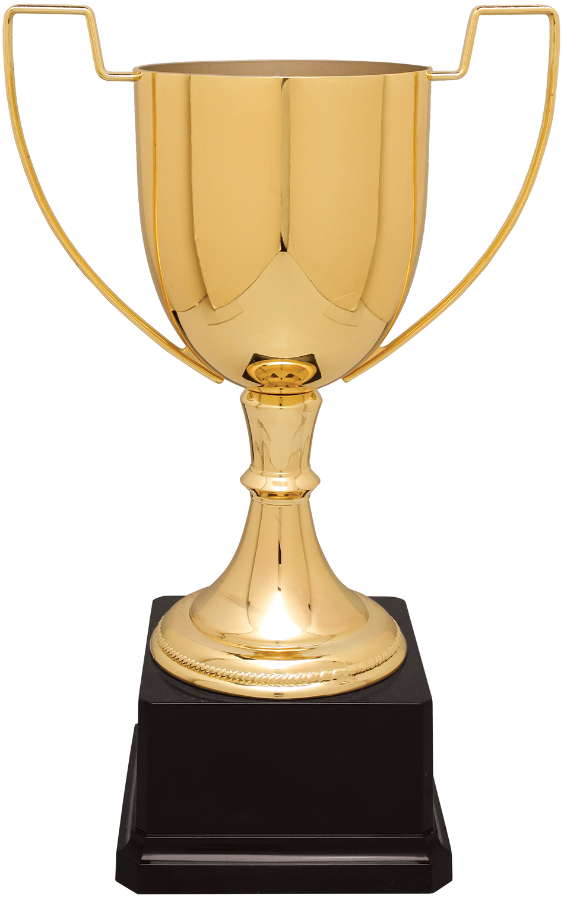 11 3/4" Gold Completed Zinc Cup Trophy on Plastic Base