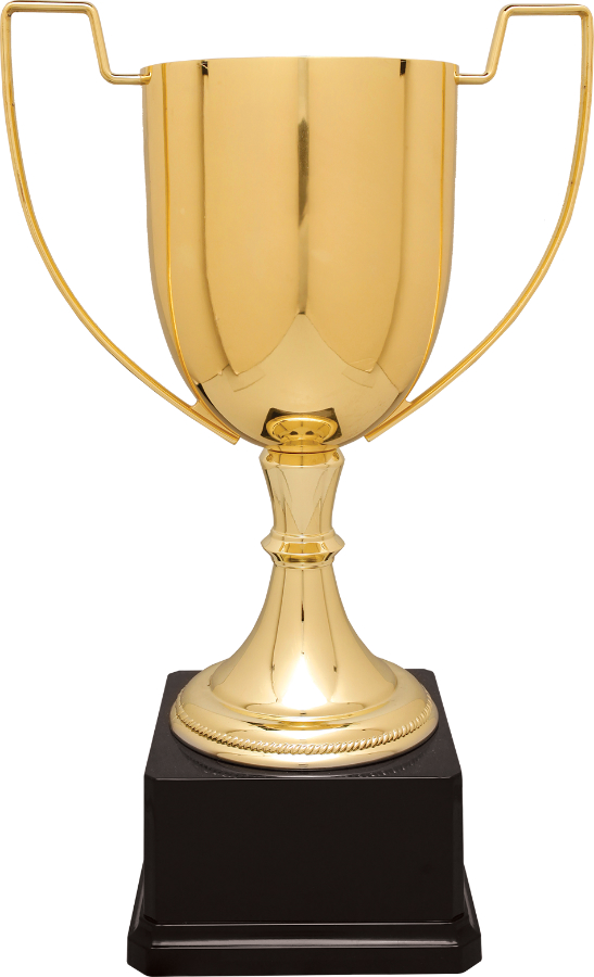14 1/4" Gold Completed Zinc Cup Trophy on Plastic Base