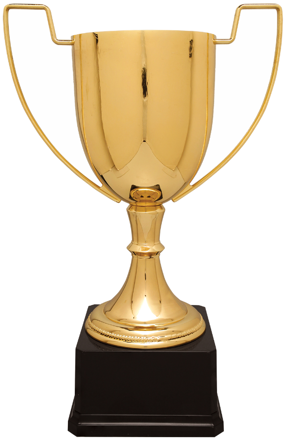 15 1/4" Gold Completed Zinc Cup Trophy on Plastic Base