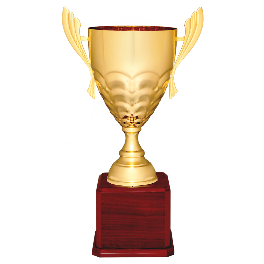 23 1/2" Gold Completed Metal Cup Trophy on Rosewood Royal Piano Finish Base