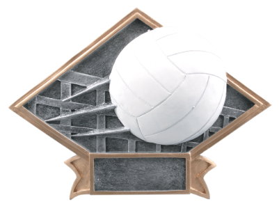 8 1/2" x 6" Volleyball Diamond Plate Resin
