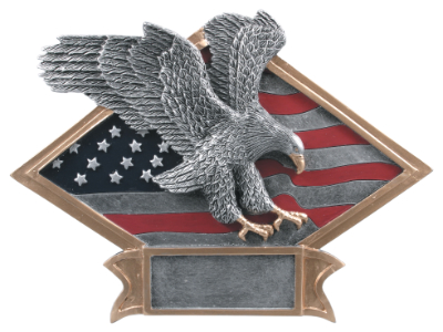 8 1/2" x 6" Eagle Diamond Plate Resin