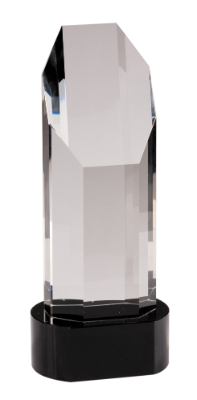 9 3/4" Octagon Slant-Top Crystal on Black Pedestal Base