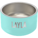 Polar Camel 18 oz. Teal Pet Bowl