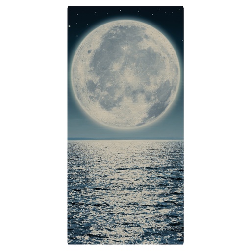 [CLX4260] 5" x 10" Gloss Silver ChromaLuxe Aluminum Photo Panel