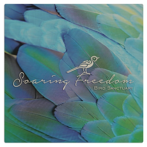 [CLX4305] 4" x 4" Matte Silver ChromaLuxe Aluminum Photo Panel