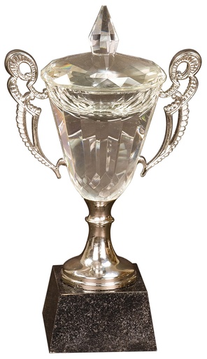[CRY052L] 11 1/4" Crystal Cup with Silver Handles and Stem
