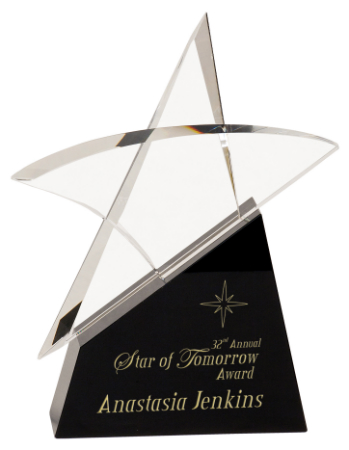 [CRY7105L] 9 1/2" Clear Crystal Outline Star on Black Base