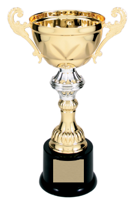 [CMC202G] 10" Gold Completed Metal Cup Trophy on Plastic Base