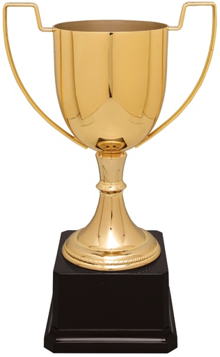 [CZC701G] 10 1/2" Gold Completed Zinc Cup Trophy on Plastic Base