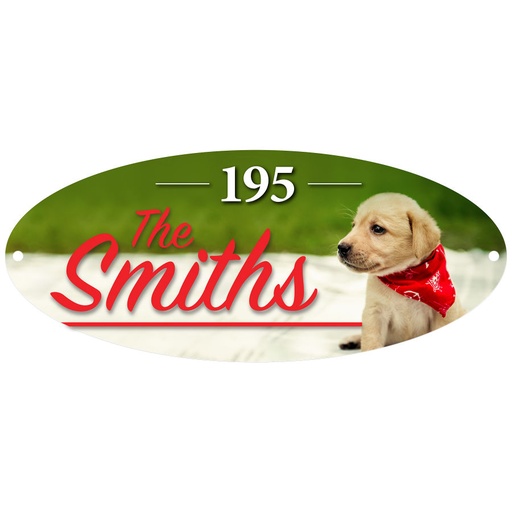 [UN4793] 12" x 5" Gloss White Unisub Oval Building Sign